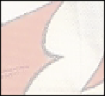 wp355c23ae.png