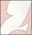 wpac6ef8c8.png